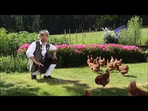 Youtube: Takeo Ischi / Ishii / 石井健雄 - New Bibi Hendl (Chicken Yodeling) Original