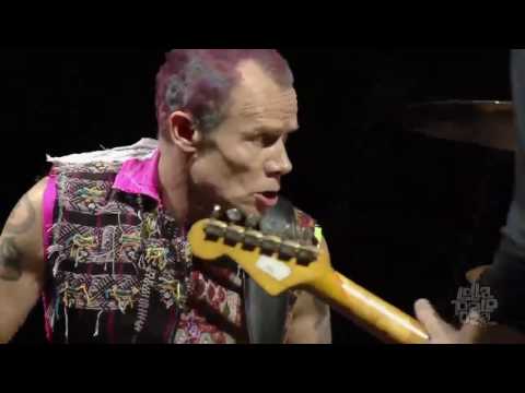Youtube: Red Hot Chili Peppers - Intro + Can't Stop -  Lollapalooza Chicago 2016 HD