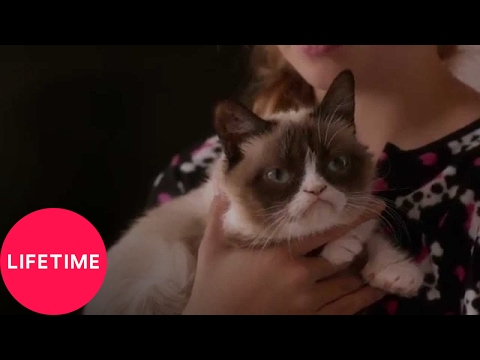 Youtube: Grumpy Cat's Worst Christmas Ever | Lifetime