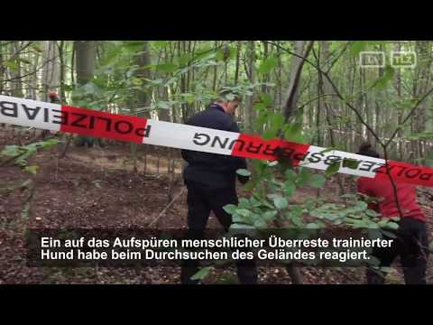 Youtube: Polizei sucht seit 30 Jahren vermisste Frau in Waldstück bei Volkenroda