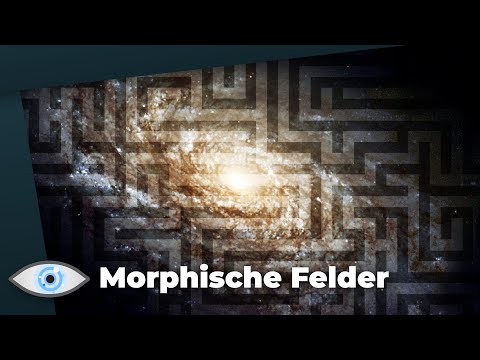 Youtube: Kosmisches WLAN: Speichert unser Universum übersinnliche Codes in “morphischen Feldern?”