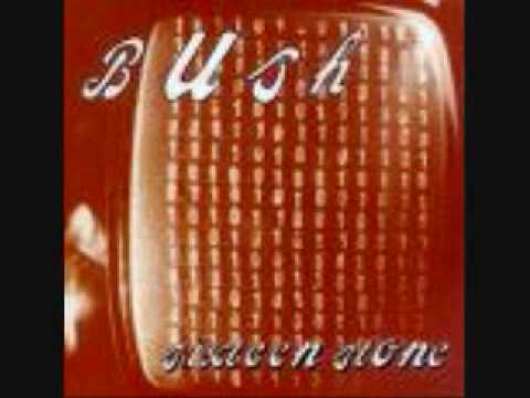 Youtube: Bush-Comedown