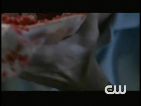 Youtube: Supernatural 4x04 - Metamorphosis Clip 1