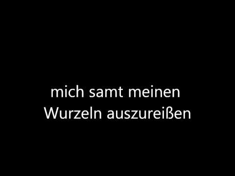 Youtube: Zupfgeigenhansel   Andre, die das Land so sehr nicht liebten text