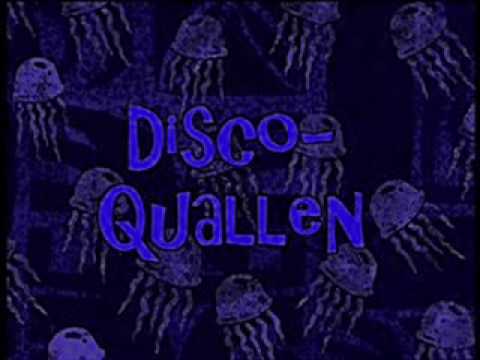 Youtube: Disco Quallen