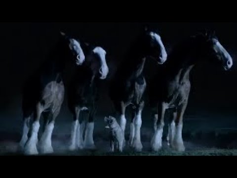 Youtube: Passenger ~ Let Her Go