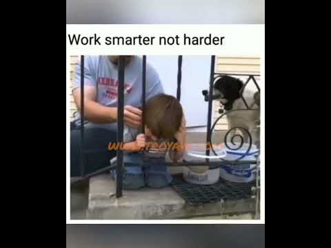 Youtube: WORK SMARTER NOT HARDER. #brilliant #fail #funny #viralvideo #viral #funnyvideos #fyp