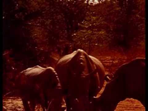 Youtube: Helmut Lotti-Out of africa