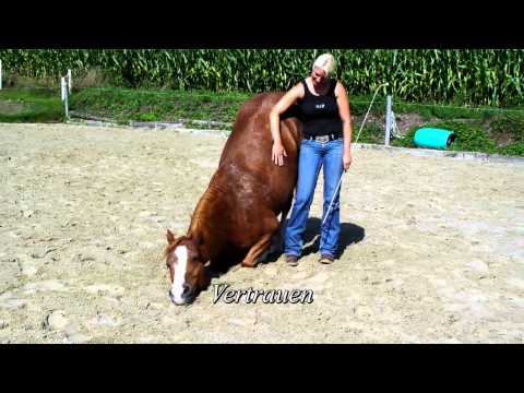 Youtube: Natural Horsemanship - Pino`s Geschichte