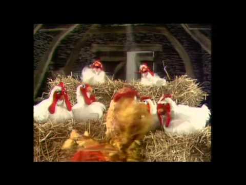 Youtube: TGD Die Muppet Show - Der Hühnerstall Song! 720p