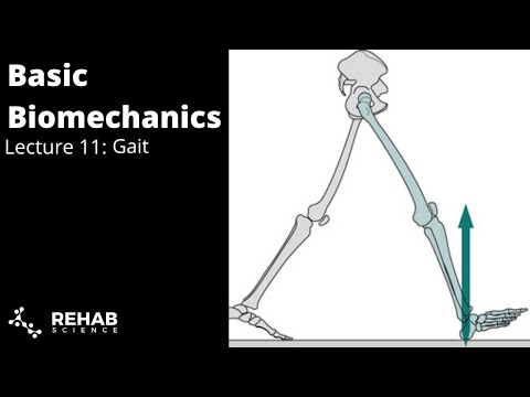 Youtube: Biomechanics Lecture 11: Gait