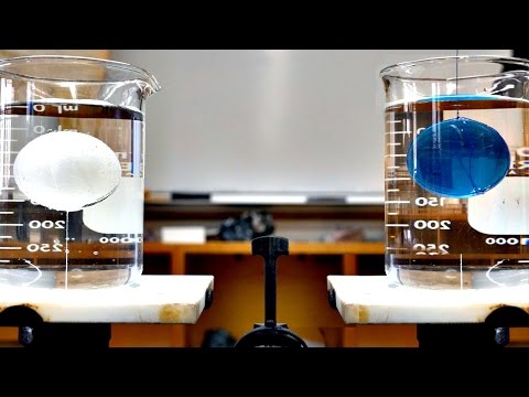 Youtube: Beaker Ball Balance Problem