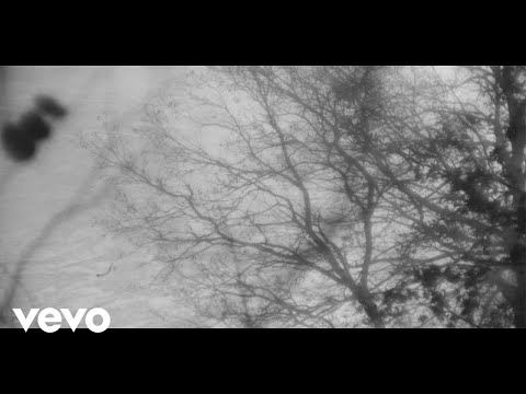 Youtube: Ludovico Einaudi - Memory One (Visualiser)