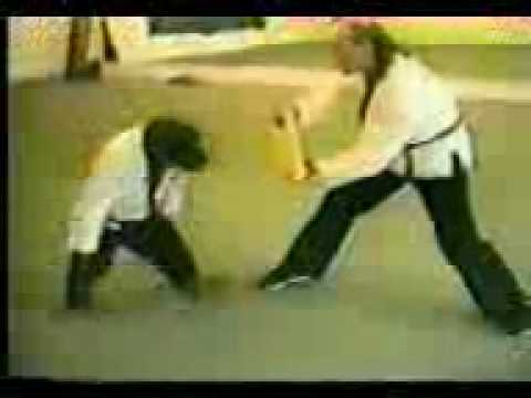Youtube: Karate-Affe(Karate-Monkey)