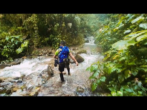 Youtube: EL SENDERO DONDE DES4P4RECIER0N D0S JÓVENES | El Pianista. Parte 2. |Lemo Ngäbere