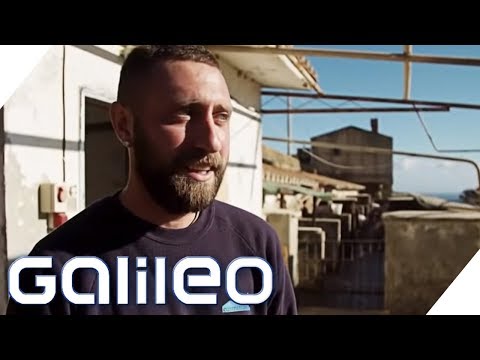 Youtube: Gefängnis-Insel: Hier laufen die Schwerverbrecher frei herum | Galileo | ProSieben