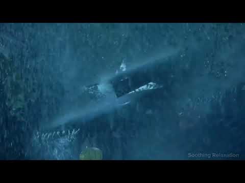 Youtube: Rain Sounds with Thunder at Night for Sleeping Hurricane Rain on Roof, Loud Thunder and Howling Wind