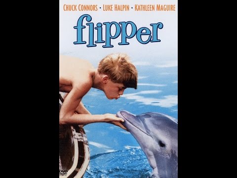 Youtube: FLIPPER Theme ( english/german)