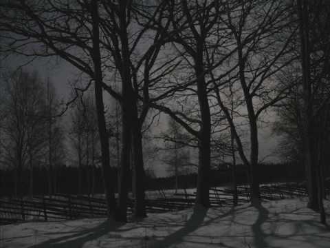 Youtube: Velvet Acid Christ - Falling Snow feat. Klaus Kinski feat. Friedrich Nietzsche