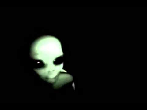 Youtube: GRAY ALIEN CAPTURED IN BRAZIL   Translated!