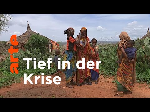 Youtube: Äthiopien: Grüner Hunger | ARTE Reportage