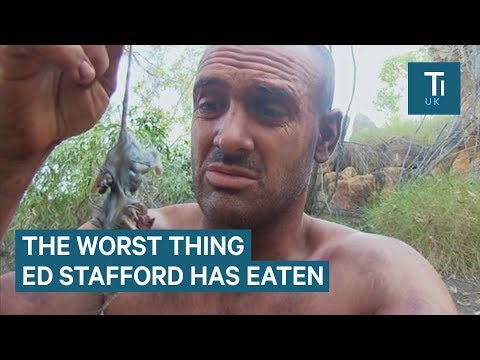 Youtube: The best and worst things Ed Stafford has eaten to stay alive