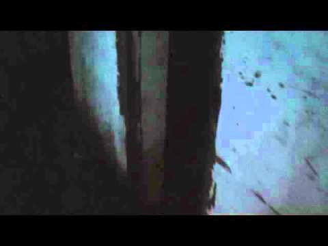 Youtube: creepy creature in a shack (REAL FOOTAGE!!!!)(NO FAKE!!) 2016
