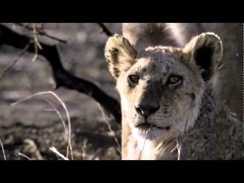 Youtube: ATB - Future Memories (HD)