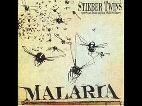 Youtube: Stieber Twins - Malaria (|nstrumental)