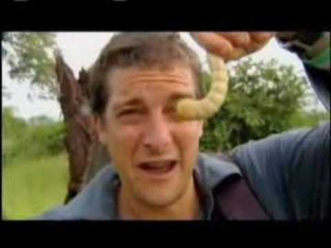 Youtube: Man vs. Wild - Eating Giant Larva