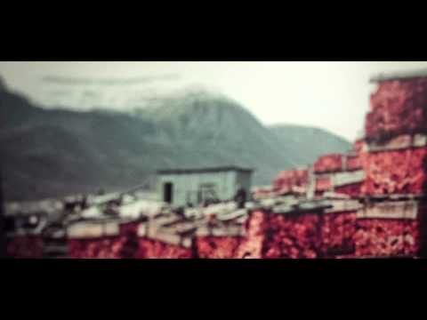Youtube: Efterklang - Hollow Mountain - Official Video