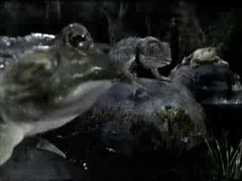 Youtube: Budweiser Frogs Commercial - Got Canned