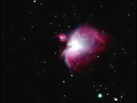Youtube: In the woods - yearning the seeds of a new dimension part1