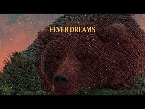 Youtube: Villagers - Fever Dreams (Official Audio)