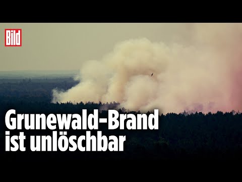 Youtube: Feuerwehr kann Waldbrand in Berlin nicht löschen | Grunewald