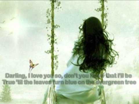 Youtube: Evergreen Tree ( 1960 ) - CLIFF RICHARD - Lyrics