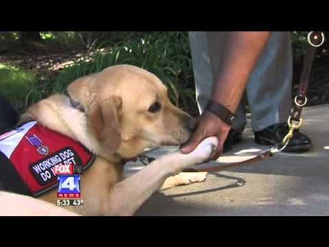 Youtube: Service Dog Helps Veteran with PTSD