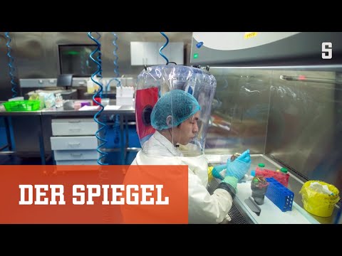 Youtube: Viren-Labor oder Tier-Markt? Theorien zum Ursprung von SARS-CoV-2 | DER SPIEGEL