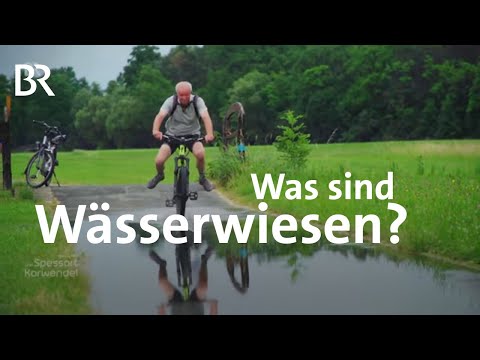 Youtube: Wässerwiesen in Franken: Einmaliges Bewässerungssystem  | Zwischen Spessart und Karwendel | BR