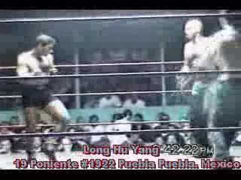 Youtube: MMA - Capoeira vs. Kickboxer