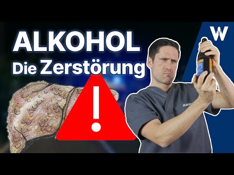 Youtube: Die Zerstörung: Die gefährlichste Droge der Welt | Folgen von Alkohol für Deinen Körper!