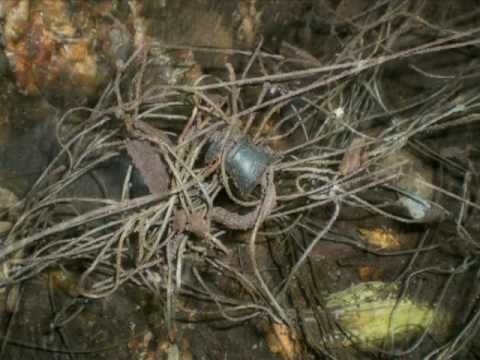 Youtube: geisterwald hohensyburg teil 2