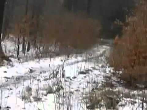 Youtube: Levitating Girl in Woods