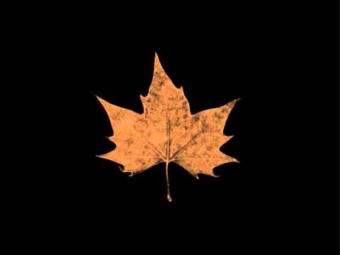 Youtube: Lustre - The Ardour of Autumn (Part 1)