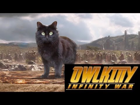Youtube: OwlKitty - Infinity War