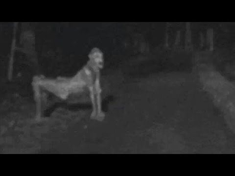 Youtube: STRANGE CREATURE (SKINWALKER) IN NEW MEXICO FEBRUARY 23, 2014 (EXPLAINED)