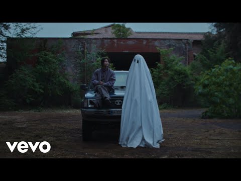 Youtube: Pinguini Tattici Nucleari - Sorry Scusa Lo Siento (Official Video)