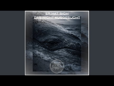 Youtube: Er hat sich das nicht ausgesucht