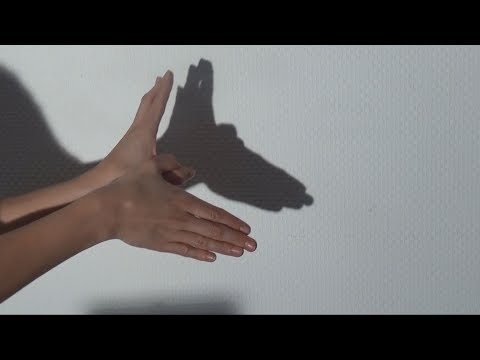 Youtube: Schattenspiele mit den Händen selber machen: Eine Anleitung