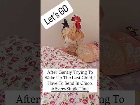 Youtube: Best alarm clock for kids. 😂